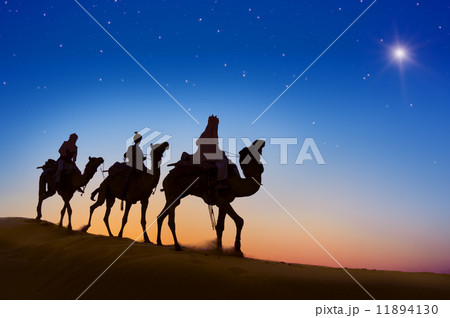 Three Wise Men 11894130