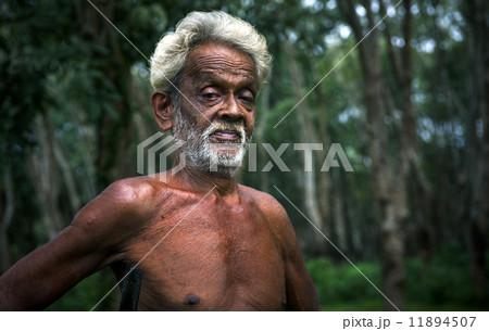 Mature Sri Lankan Man 11894507