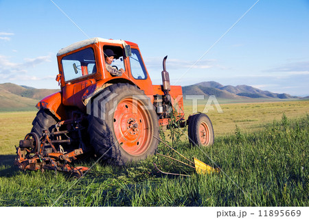 Mongolian Farmer Driving His Tractor On The Field 11895669