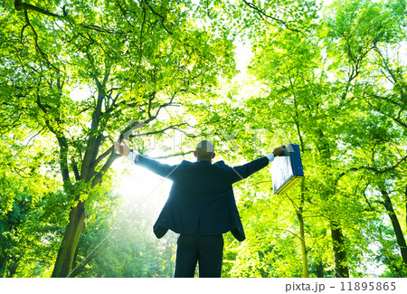 Business Relaxation 11895865