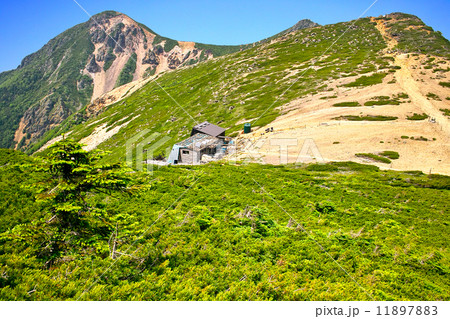 北八ヶ岳の稜線 北八ヶ岳の稜線 11897883