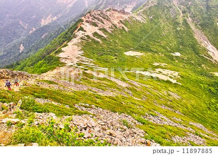 北八ヶ岳の稜線 11897885