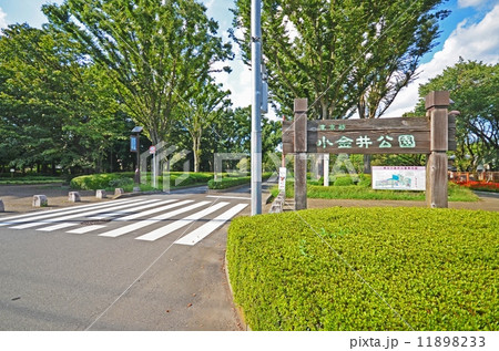 小金井公園 11898233