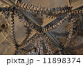 セドレツ納骨堂 11898374