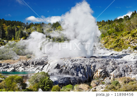 Pohutu Geyser, New Zealand Pohutu Geyser, New Zealand 11898456