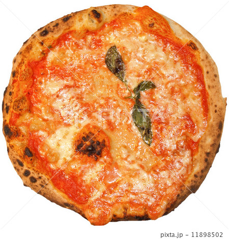 Mushroom Pizza 11898502