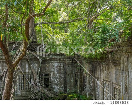 カンボジア アンコール遺跡群 ベンメリア 11898638