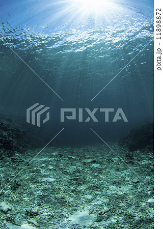 白い海底に差し込む光 白い海底に差し込む光 11898872