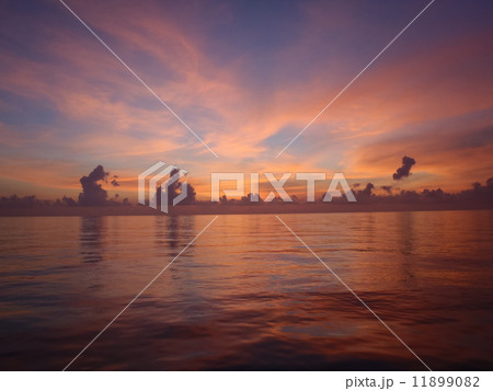 海 海 11899082
