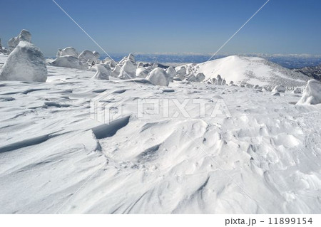 西吾妻山の風紋 11899154
