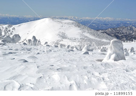 西吾妻山樹氷 西吾妻山樹氷 11899155
