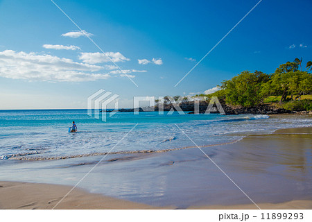 ハプナビーチ ハプナビーチ 11899293