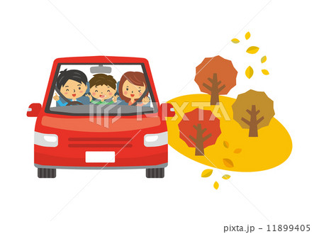 秋　紅葉　人物　木　自動車 11899405