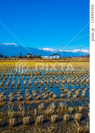 晩秋の北アルプス 11899569