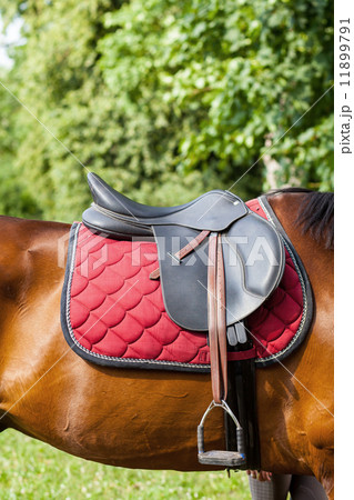 Leather saddle on the horse 11899791