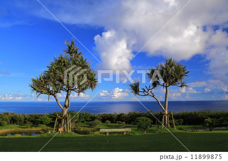 沖縄の空と海 11899875