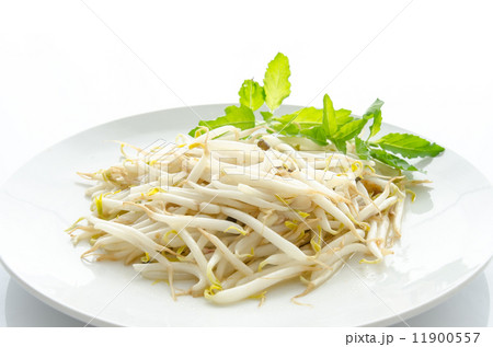 stir fry bean sprout 11900557