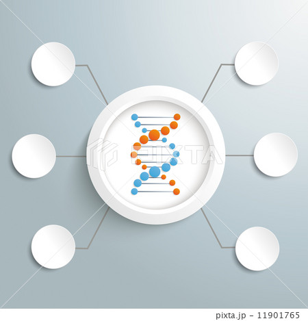 DNA Infographic PiAd DNA Infographic PiAd 11901765