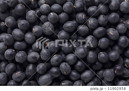 丹波黒豆（丹波篠山黒大豆） 11902958