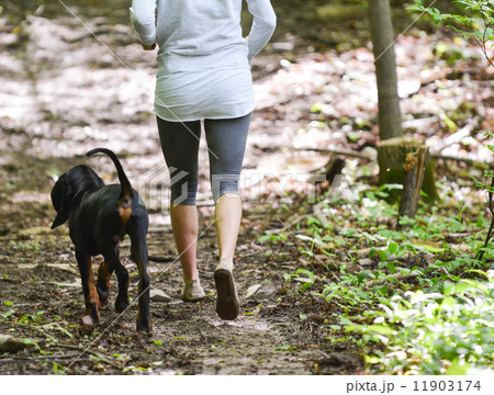 exercising the dog 11903174