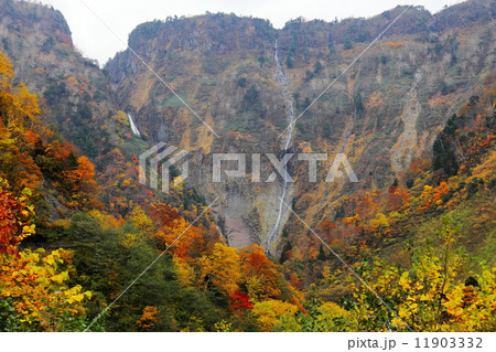 紅葉のハンノキ滝 紅葉のハンノキ滝 11903332
