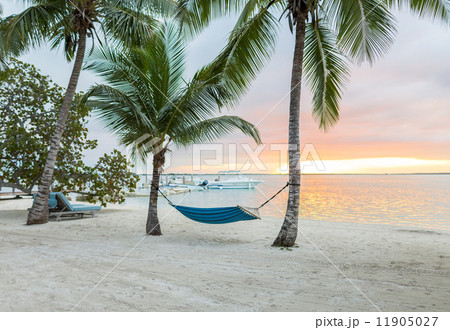 hammock on tropical beach 11905027