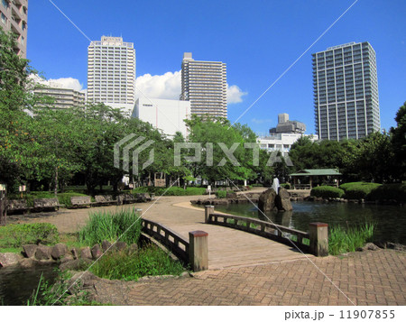佃公園風景 11907855