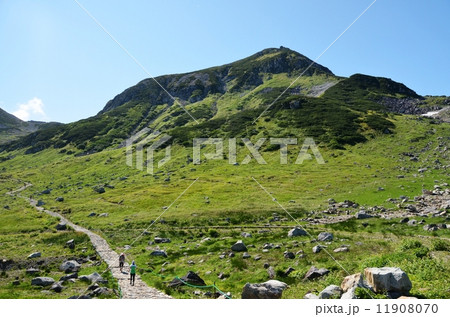 夏の立山と、登頂を目指す登山者 11908070