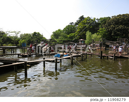 野田市の清水公園にあるフィールドアスレチック 水上コース の写真素材 11908279 Pixta