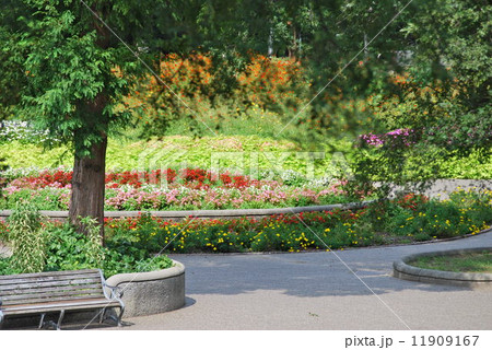 公園の風景 11909167