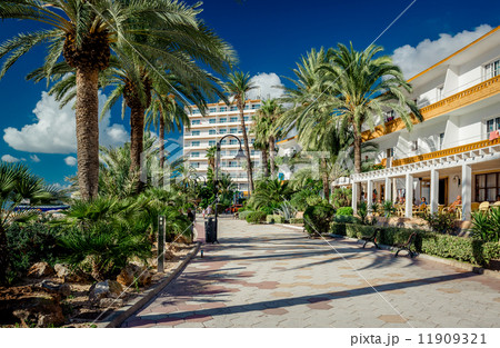 Ibiza seafront 11909321