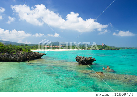 沖縄の海・今帰仁村 11909479