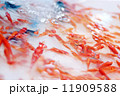 金魚 11909588