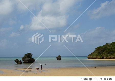 石垣島  海と離れ岩 11910336