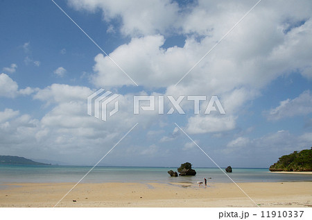 石垣島  海と離れ岩 11910337