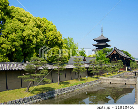 夏の東寺 五重塔 11910456