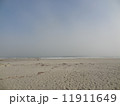 表浜海岸（砂浜） 11911649