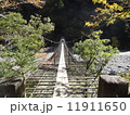 夢の吊り橋（寸又狭） 11911650