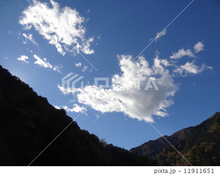 雲 11911651