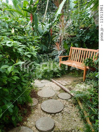 神戸 布引ハーブ園（グラスハウス内にて） 11911961