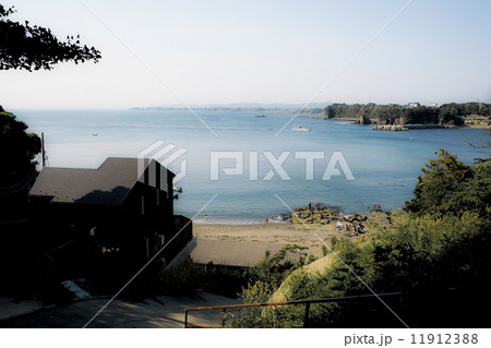 油壺 油壺 11912388