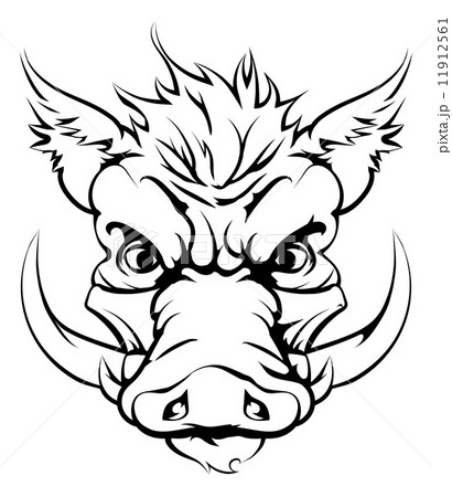 Boar sports mascot head 11912561