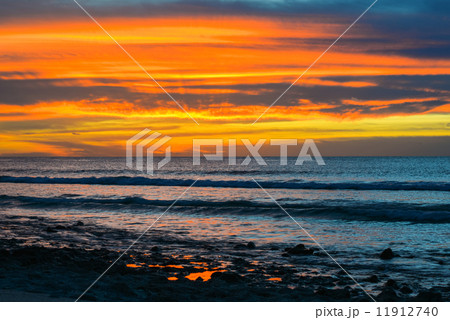 qp Wakafuji qp Wakafuji 11912740