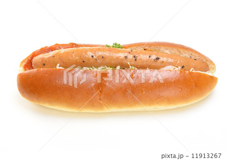 おいしいホットドック 11913267