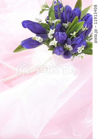 リンドウ 11913408