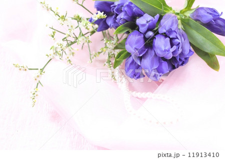 リンドウ 11913410