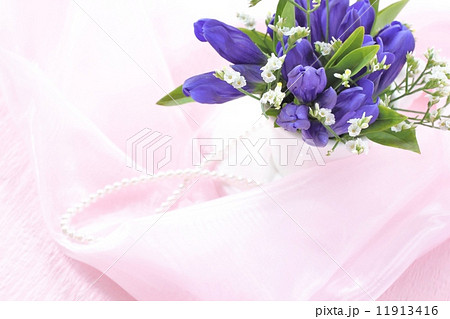 リンドウ 11913416