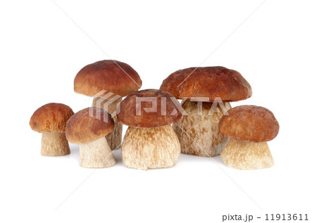 Brown mushrooms Brown mushrooms 11913611