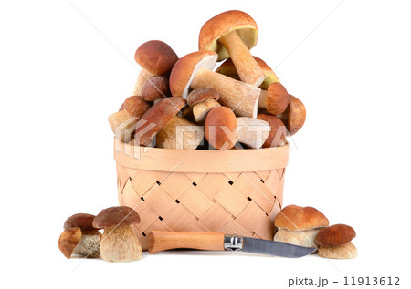 Mushrooms in a basket Mushrooms in a basket 11913612