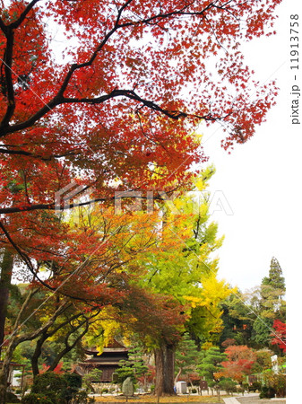 秋の永保寺 11913758